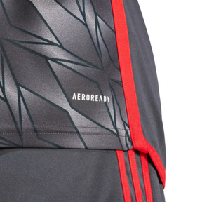 Camisa Flamengo 24/25 Third